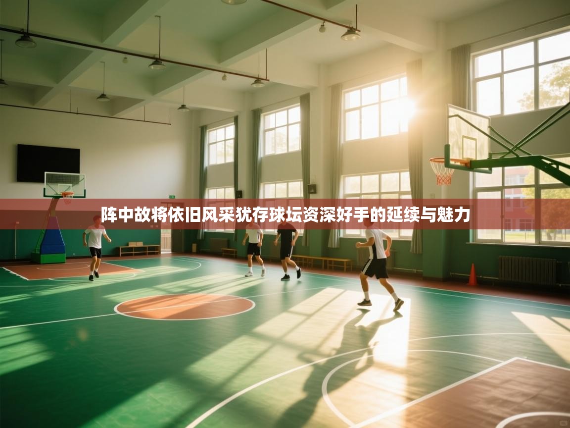 阵中故将依旧风采犹存球坛资深好手的延续与魅力  第2张