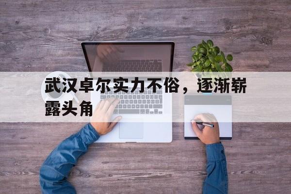 半岛体育官网入口-武汉卓尔实力不俗，逐渐崭露头角的简单介绍